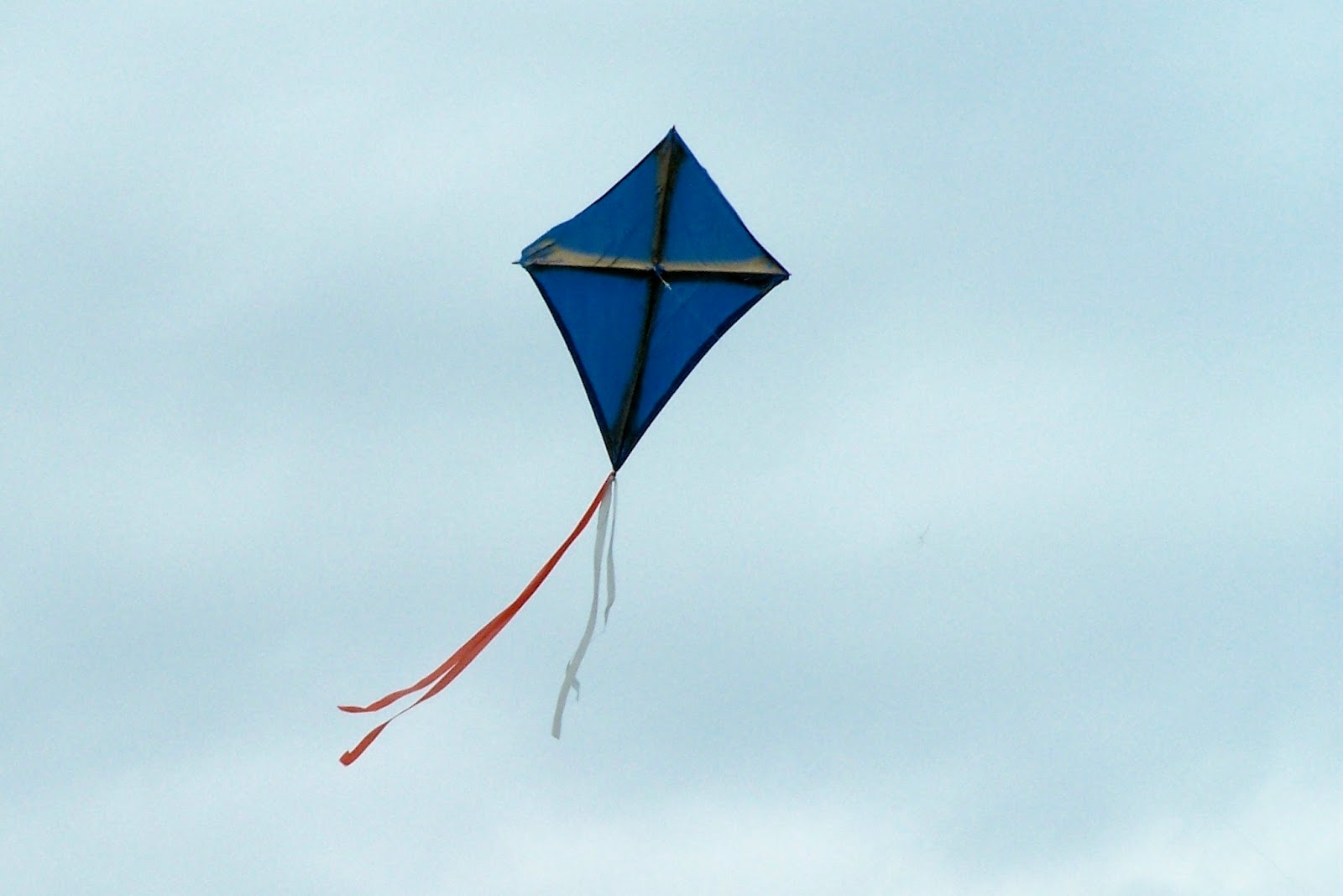Descriptive essay on kite flying