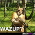 Whats up, down under style - wazup???