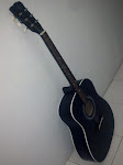 my lovely guitar