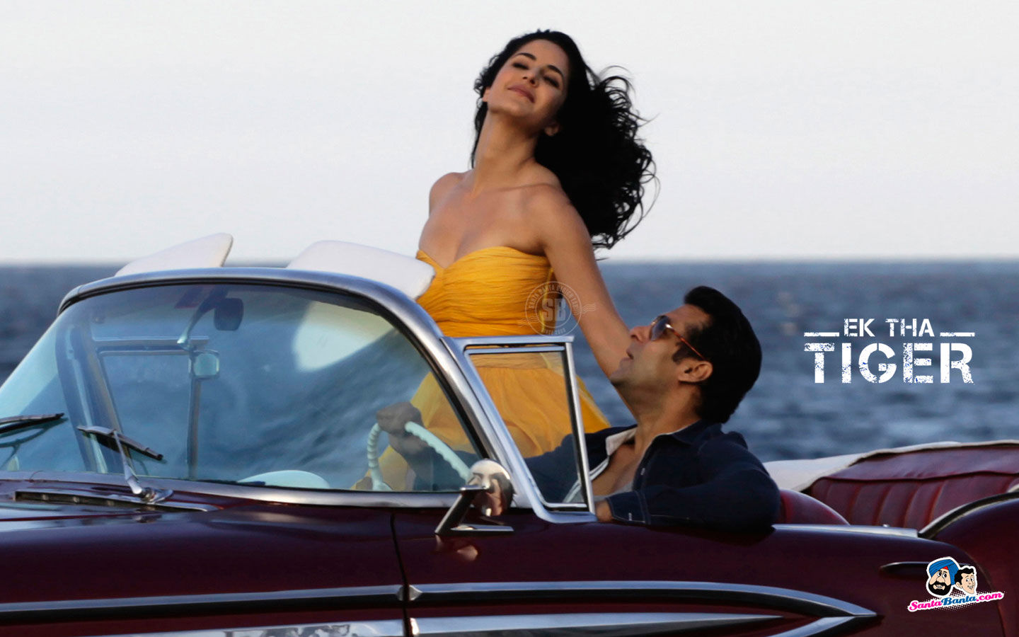 Only Wallpapers: Ek Tha Tiger Wallpaper