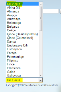 Dil çeviri (pop up) açılır dil seçenekleri görüntüsü