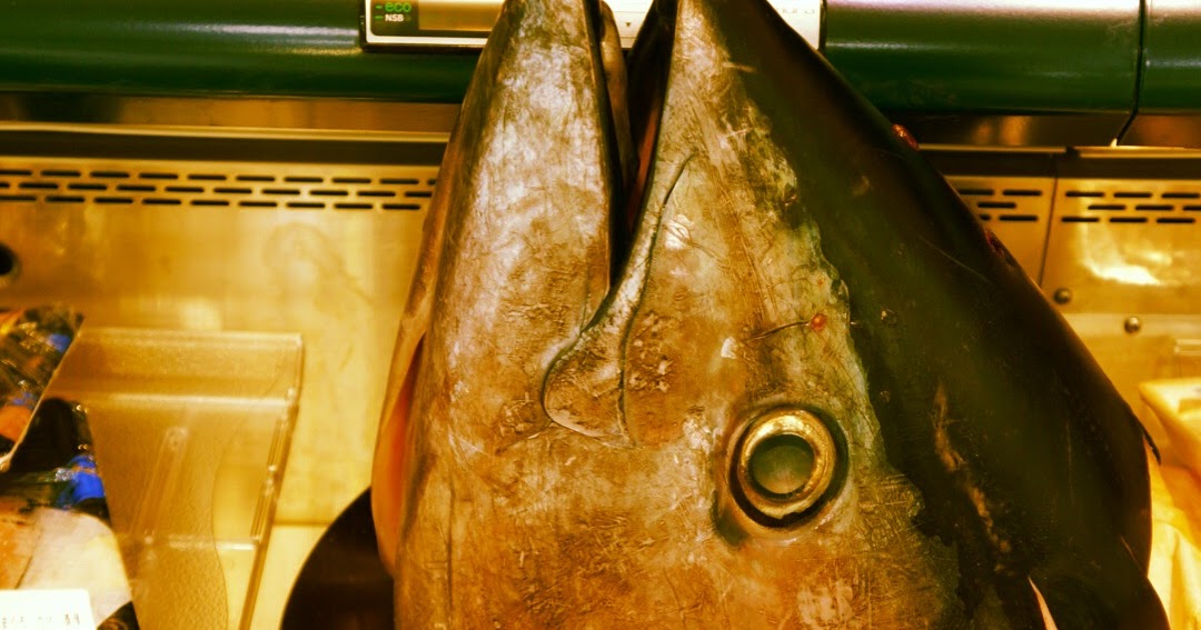 Yokosuka Food Corner Blue Street and Beyond Tuna Head cooking (at home)