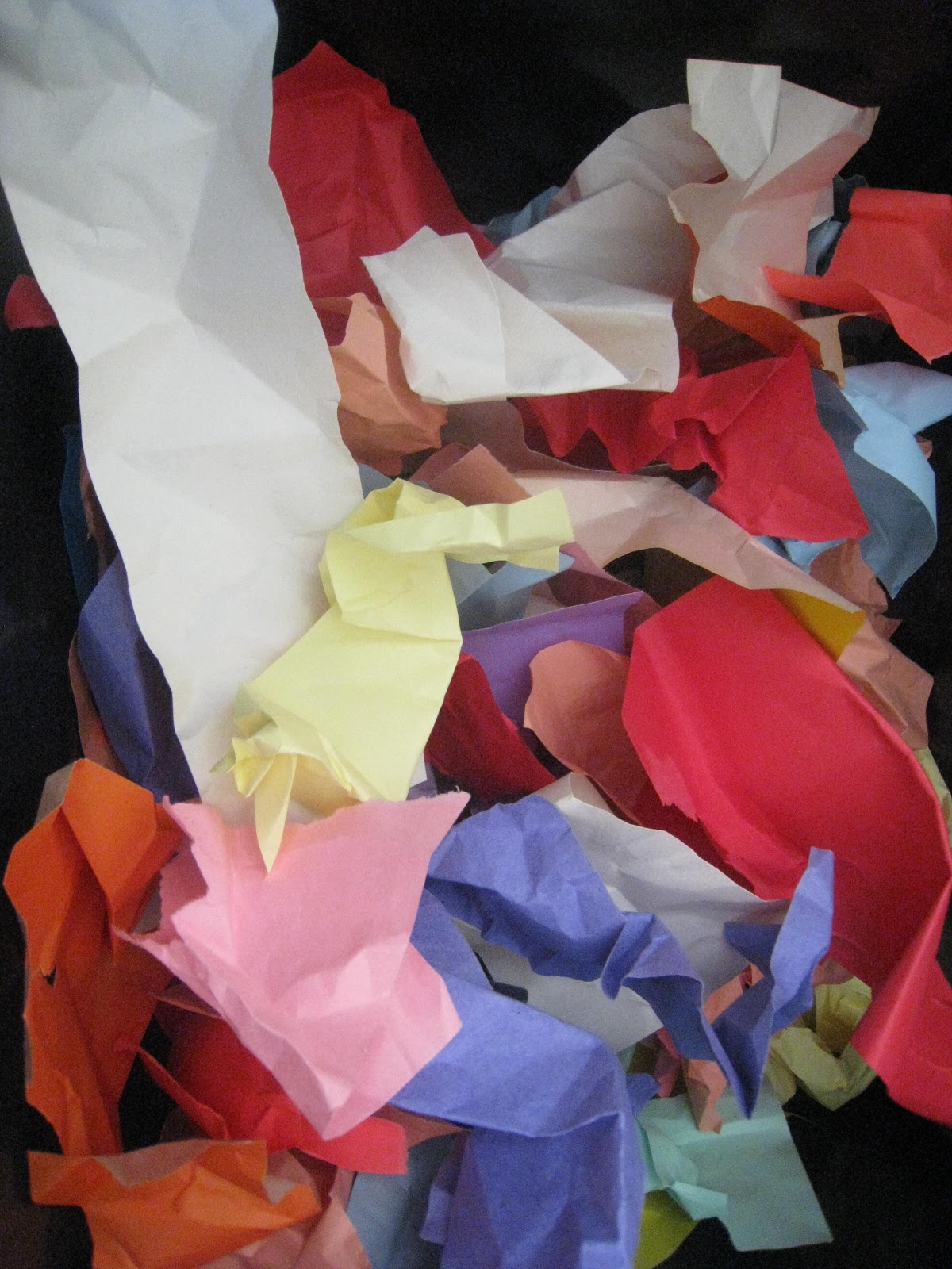 Camouflage Learning Activity