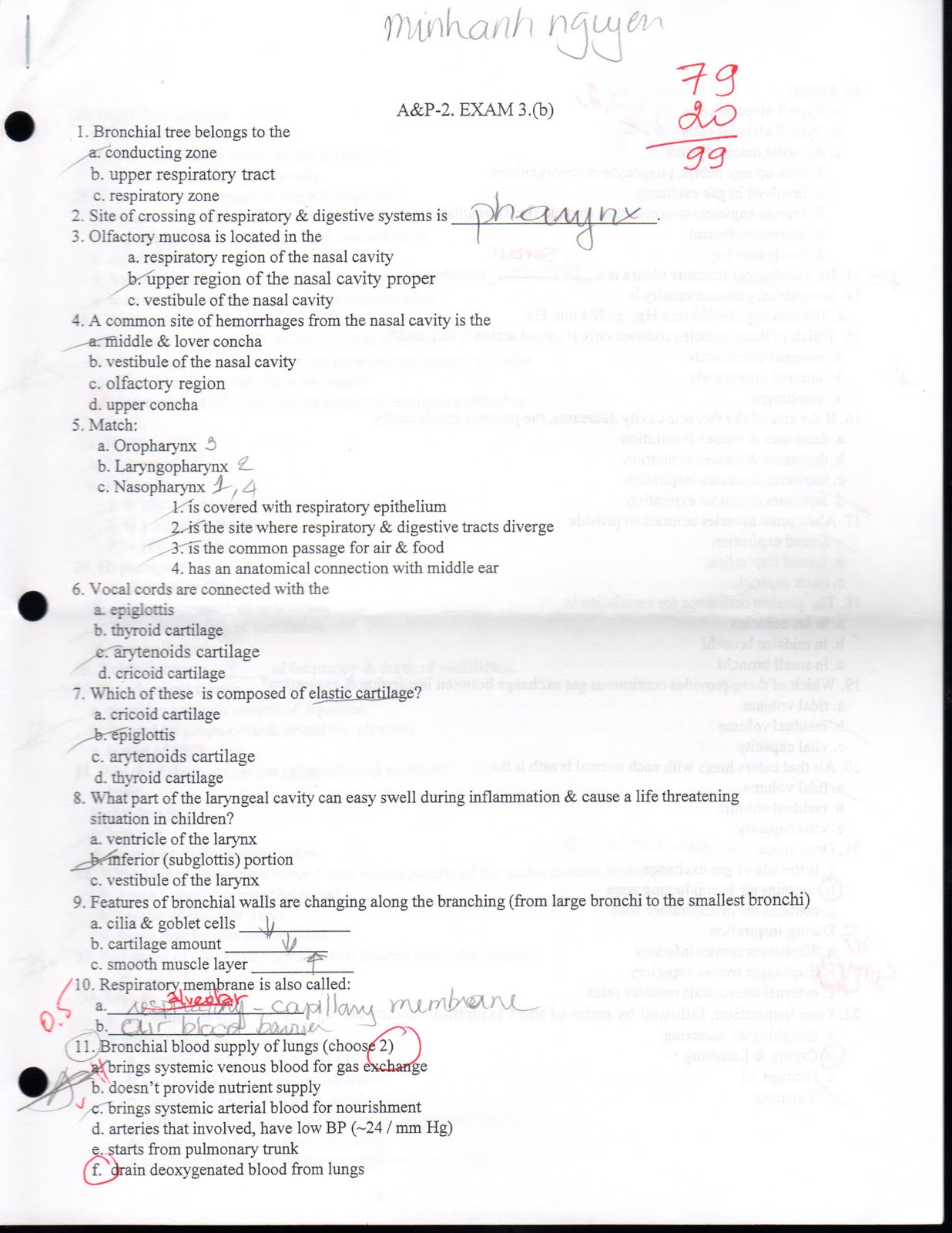straighterline-anatomy-and-physiology-2-lab-answers