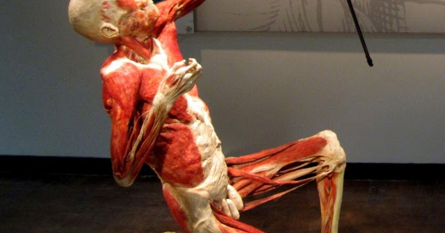 Contemporary Art, Summer 2013: Bodies