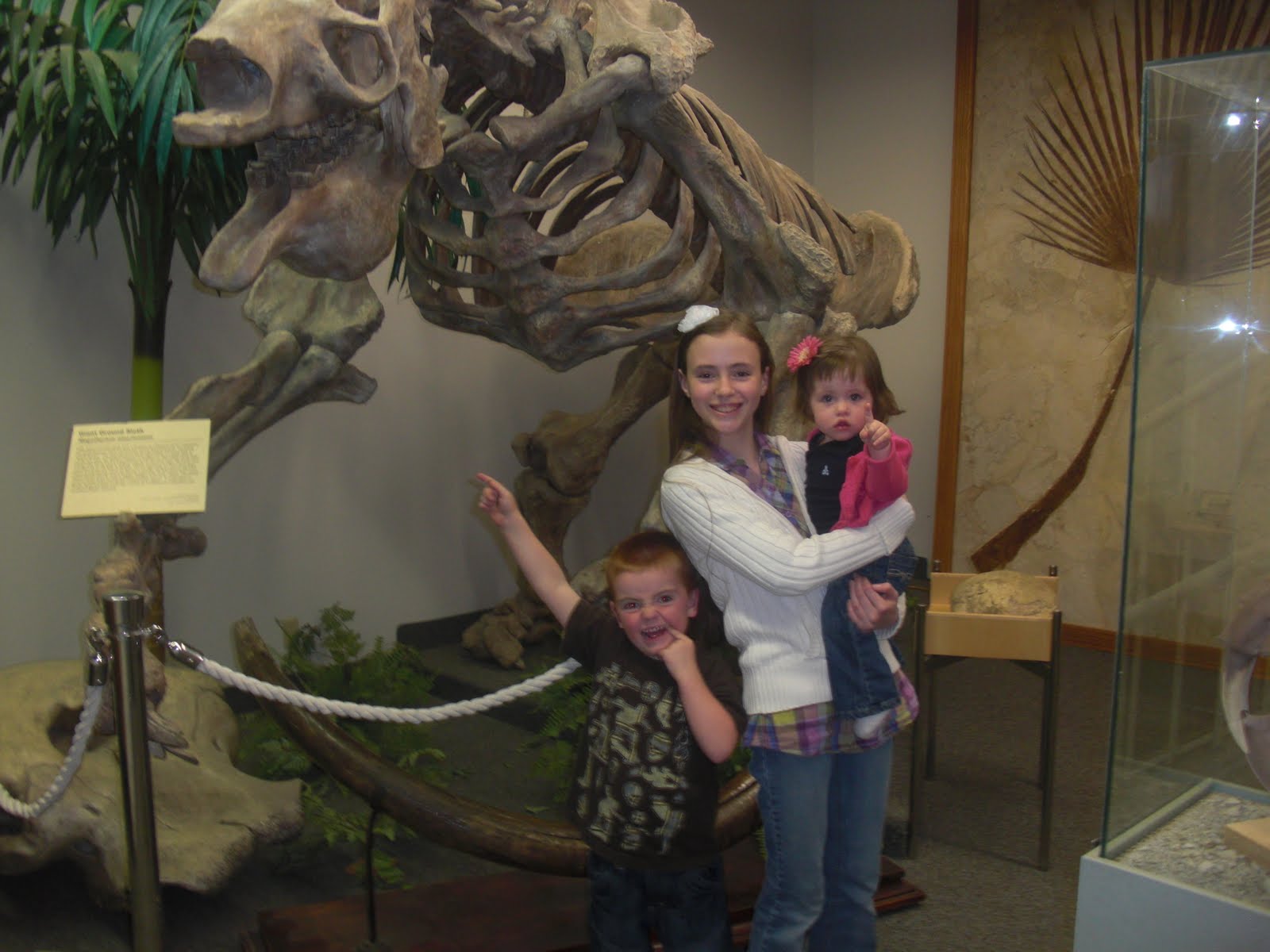 Utah County Mom BYU Museum of Paleontology (Earth Science Museum)