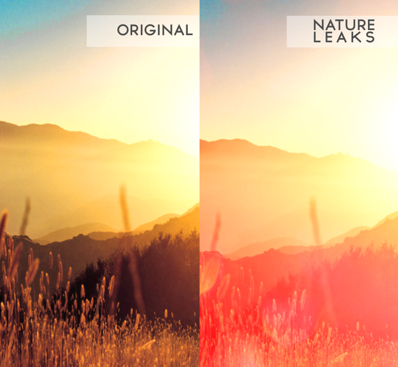Nature Leaks, Motion Graphics | VideoHive