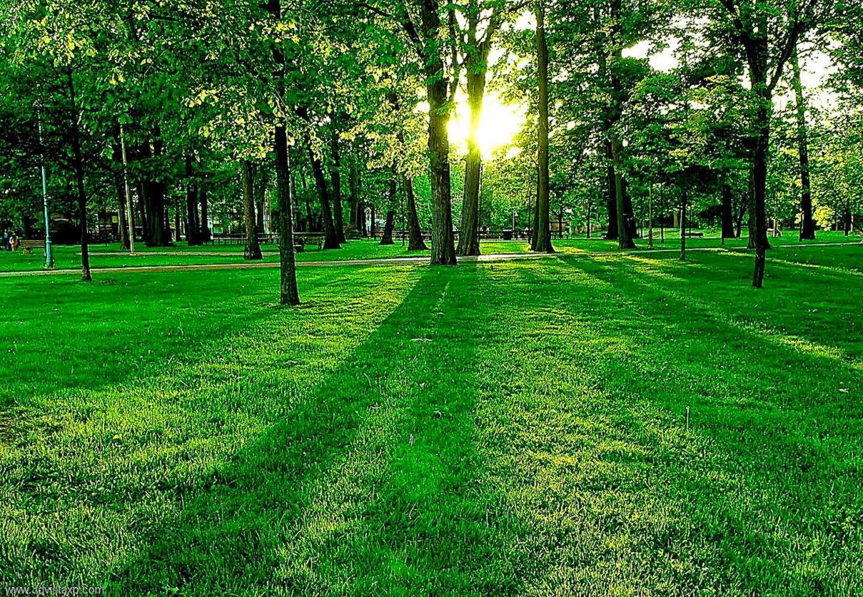 Beautiful Nature Wallpapers Beautiful Nature Wallpapers