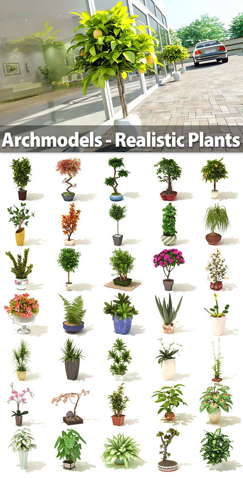 Quality Graphic Resources Archmodels Realistic Plants Vol.41