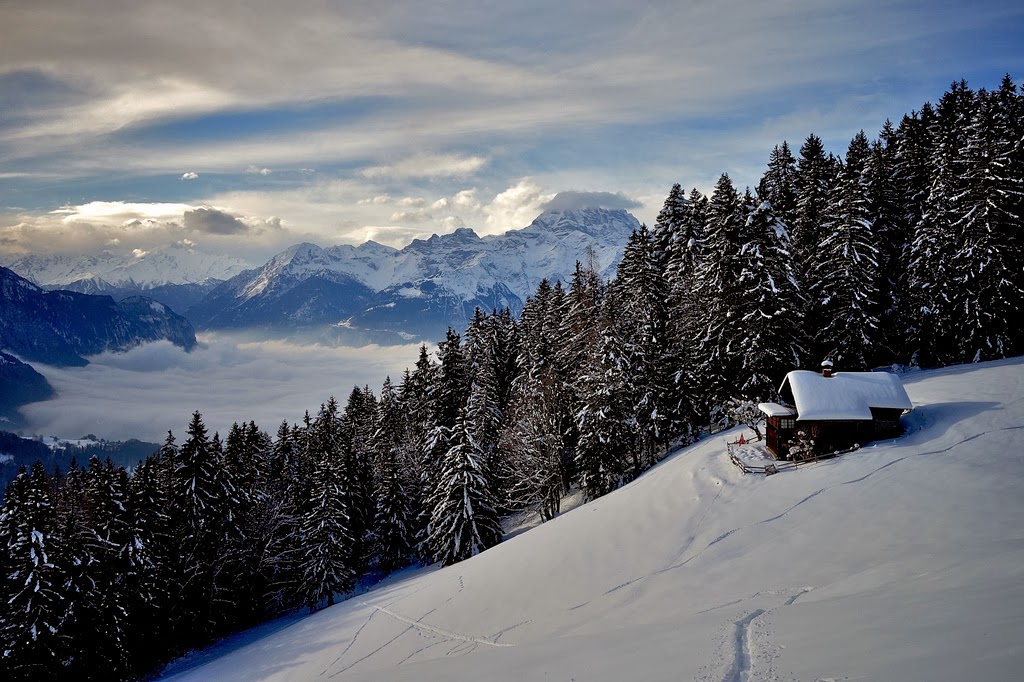 Lee Reid Family Travels Photo Blog Cabin Porn