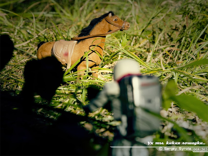 365 фото дней, веселые картинки, весёлый робот, проект 365 дней, фото история игрушки, фигрурка Asimo 365 фото дней, веселые картинки, весёлый робот, проект 365 дней, фото история игрушки, фигрурка Asimo