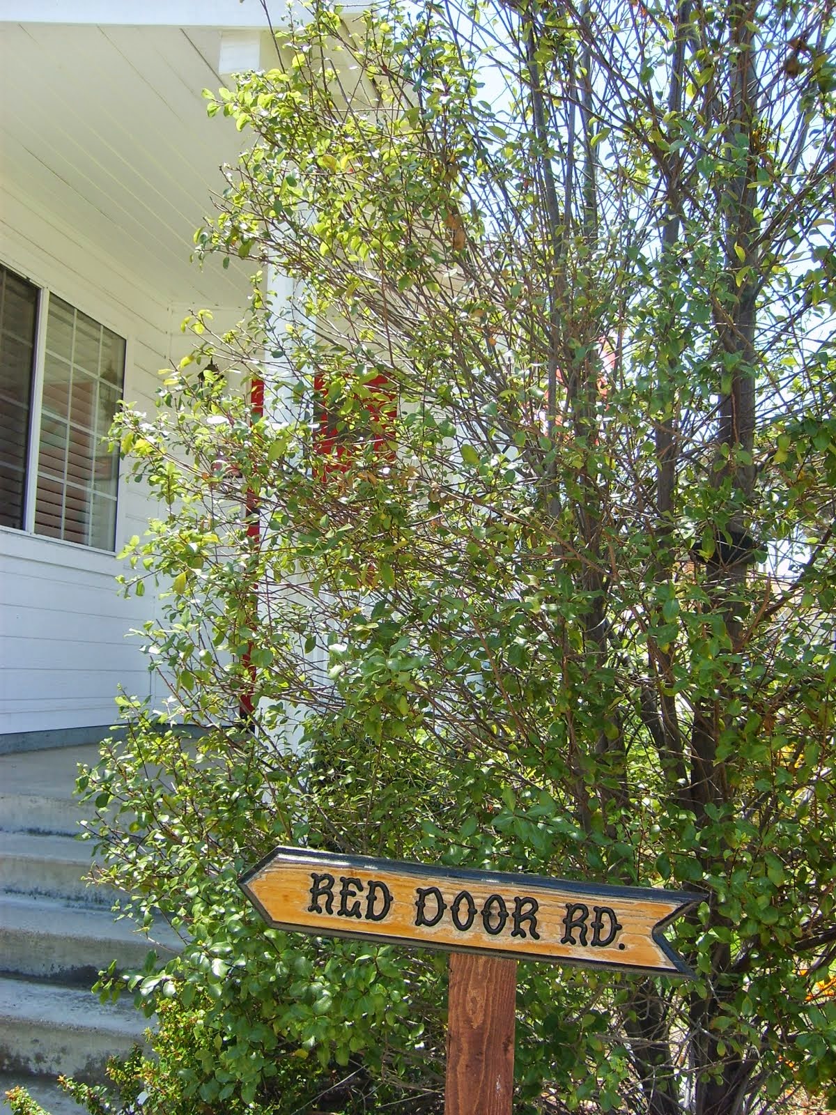 Red Door Road