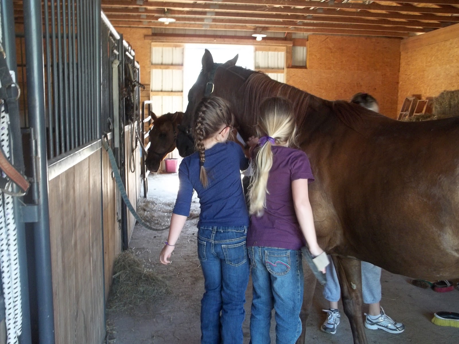 Changing the World Pebble by Pebble Horse Summer Camp near