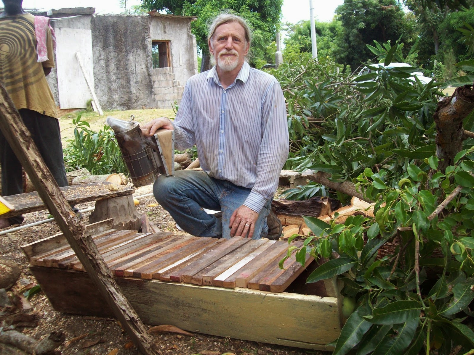 Musings On Beekeeping Colony Cutout With Les Crowder