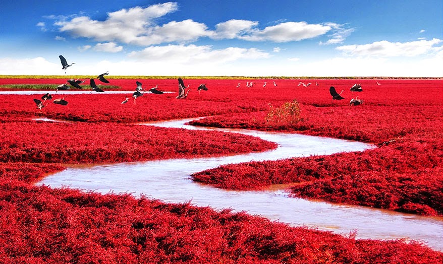 Red Seabeach in china is art derived from natural