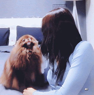 1564921955%2B%25282%2529.gif