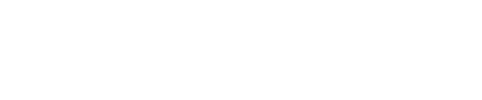Terri Morrison, CoAuthor, Kiss, Bow or Shake Hands