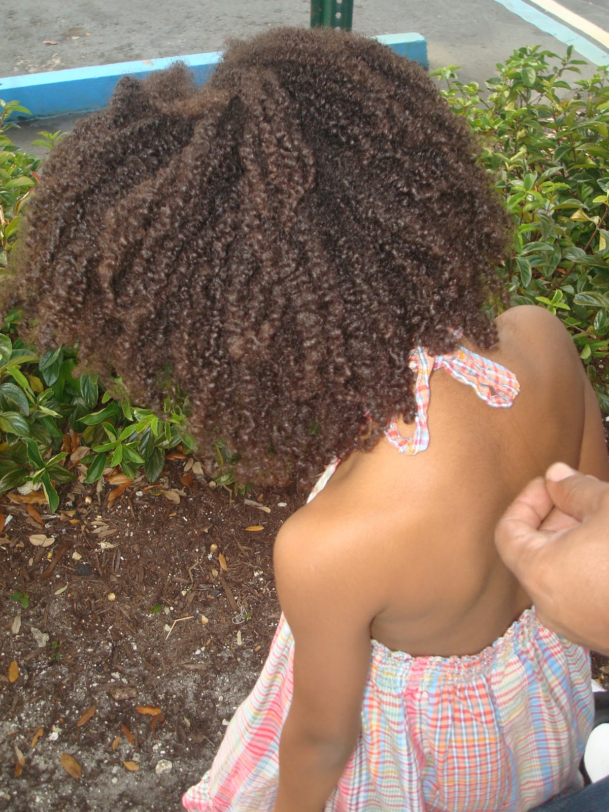 How To Care For Coily Hair 10 Things We Love About Wash N Go S On
