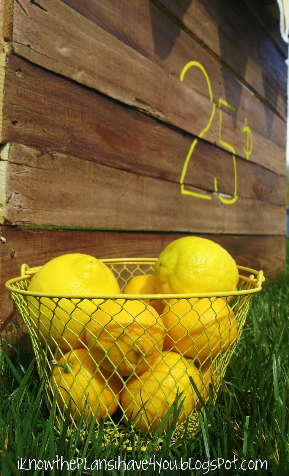 I Know The Plans I Have For You Round 3!! Pallet Lemonade Stand...