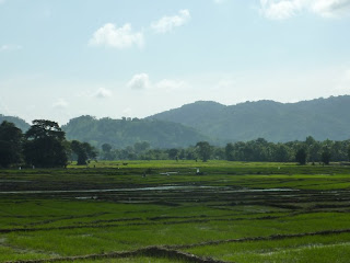 Riz Sri Lanka