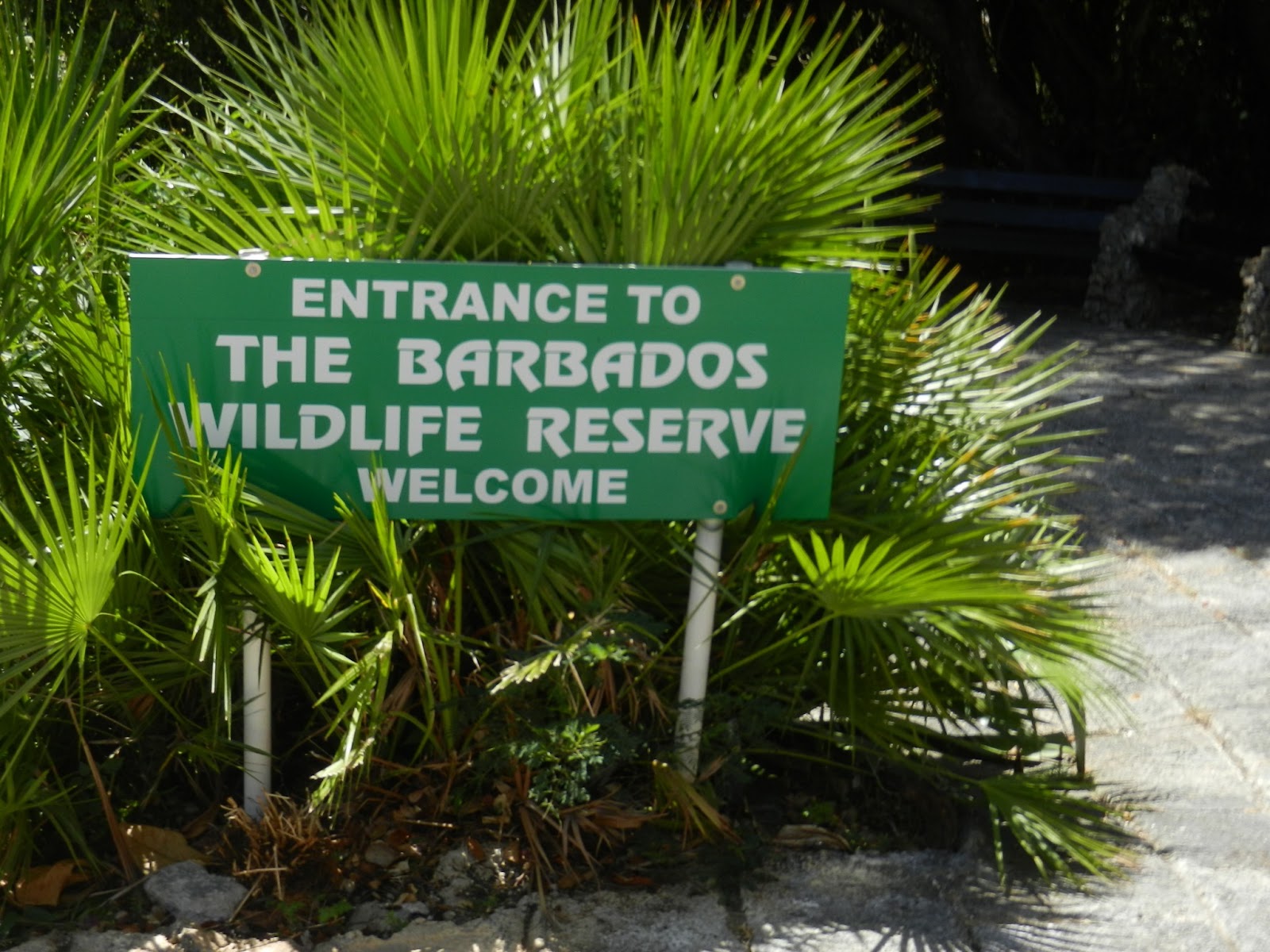 BreatheFriendsSeaWrite Bridgetown, Barbados 3/18/13