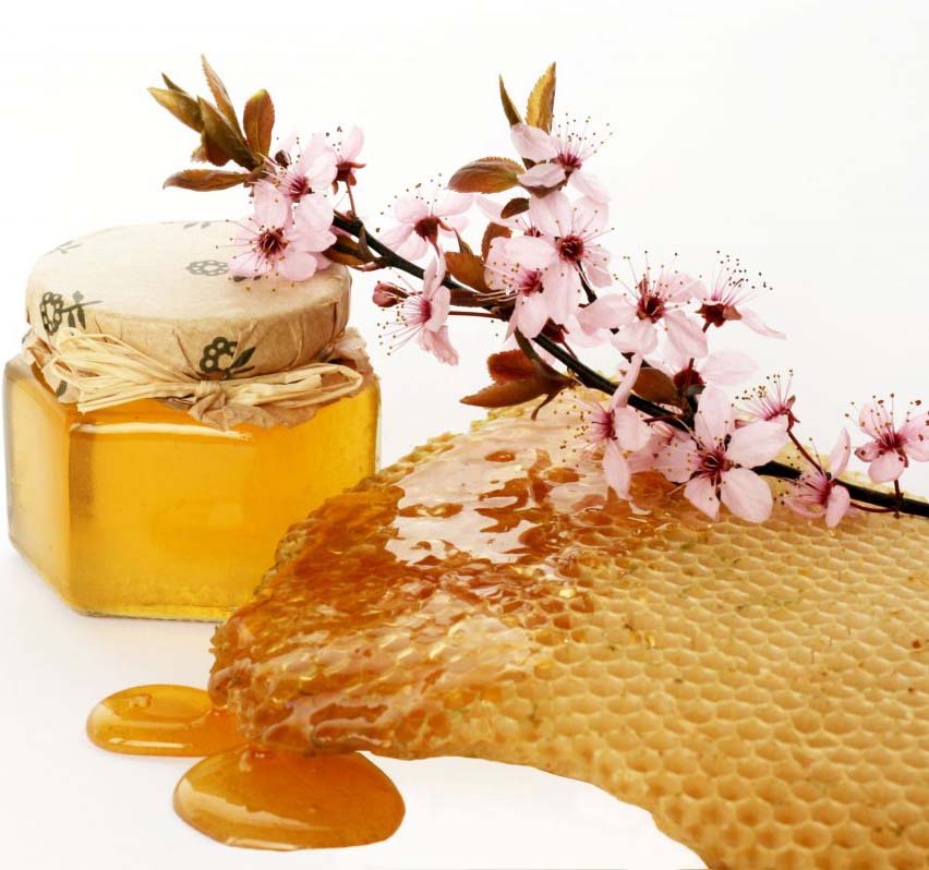 Fair Trade Certified The benefits of honey production
