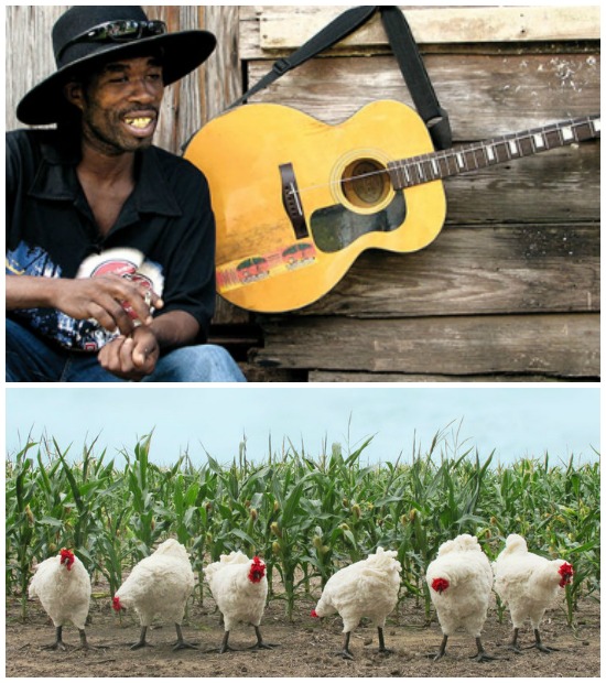 THE CITIZEN ROSEBUD Mind the Music Chicken in Corn