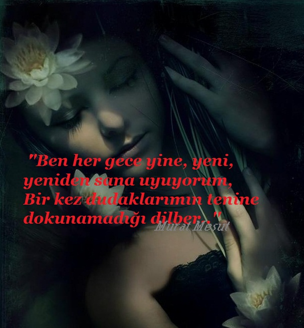 Murat Mesut Eylül 2012