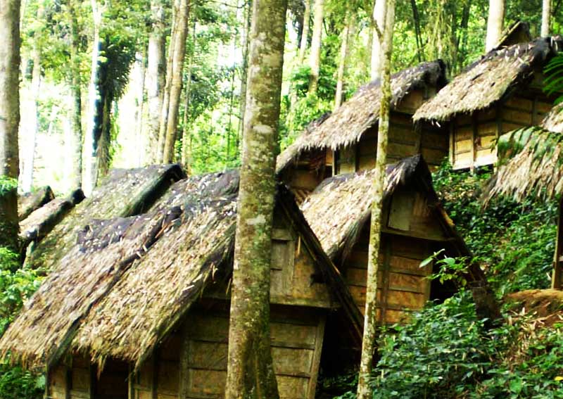 softskill for my college suku baduy