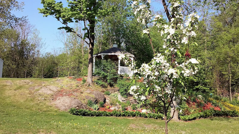 Springtime on the library grounds