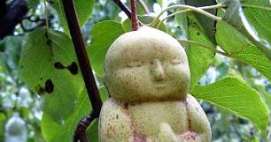 Oooohhmmmmybuddha Apfel Oder Birnenform