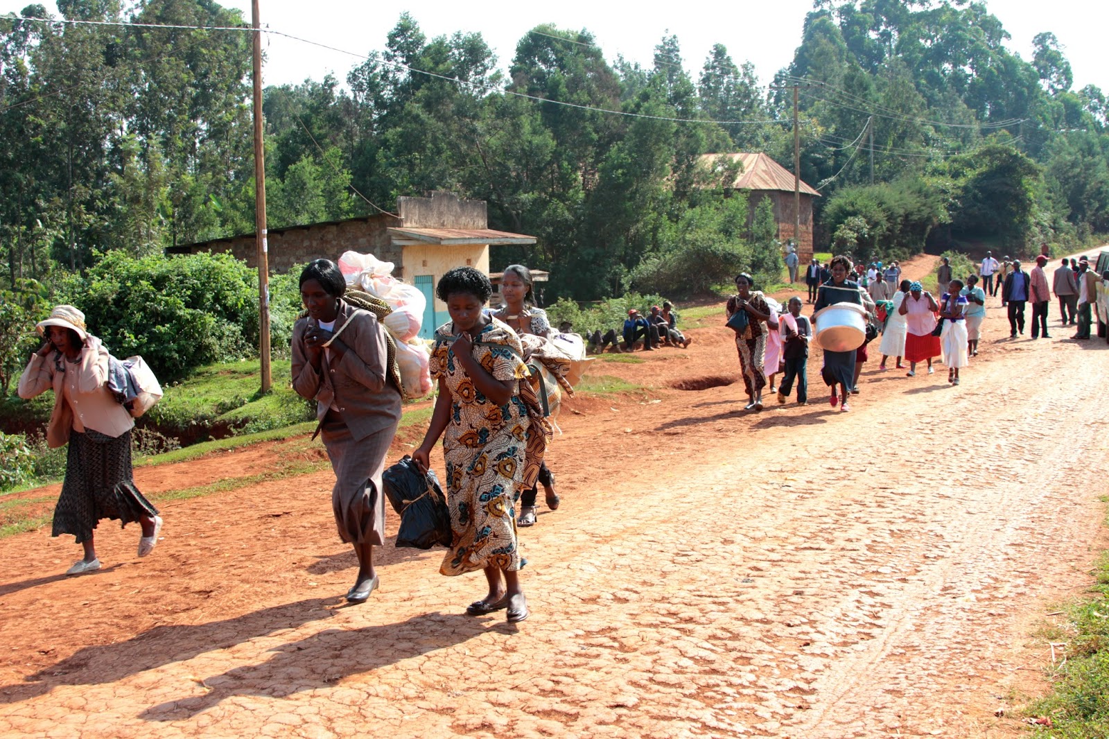 AFROCCO A Kikuyu Dowry