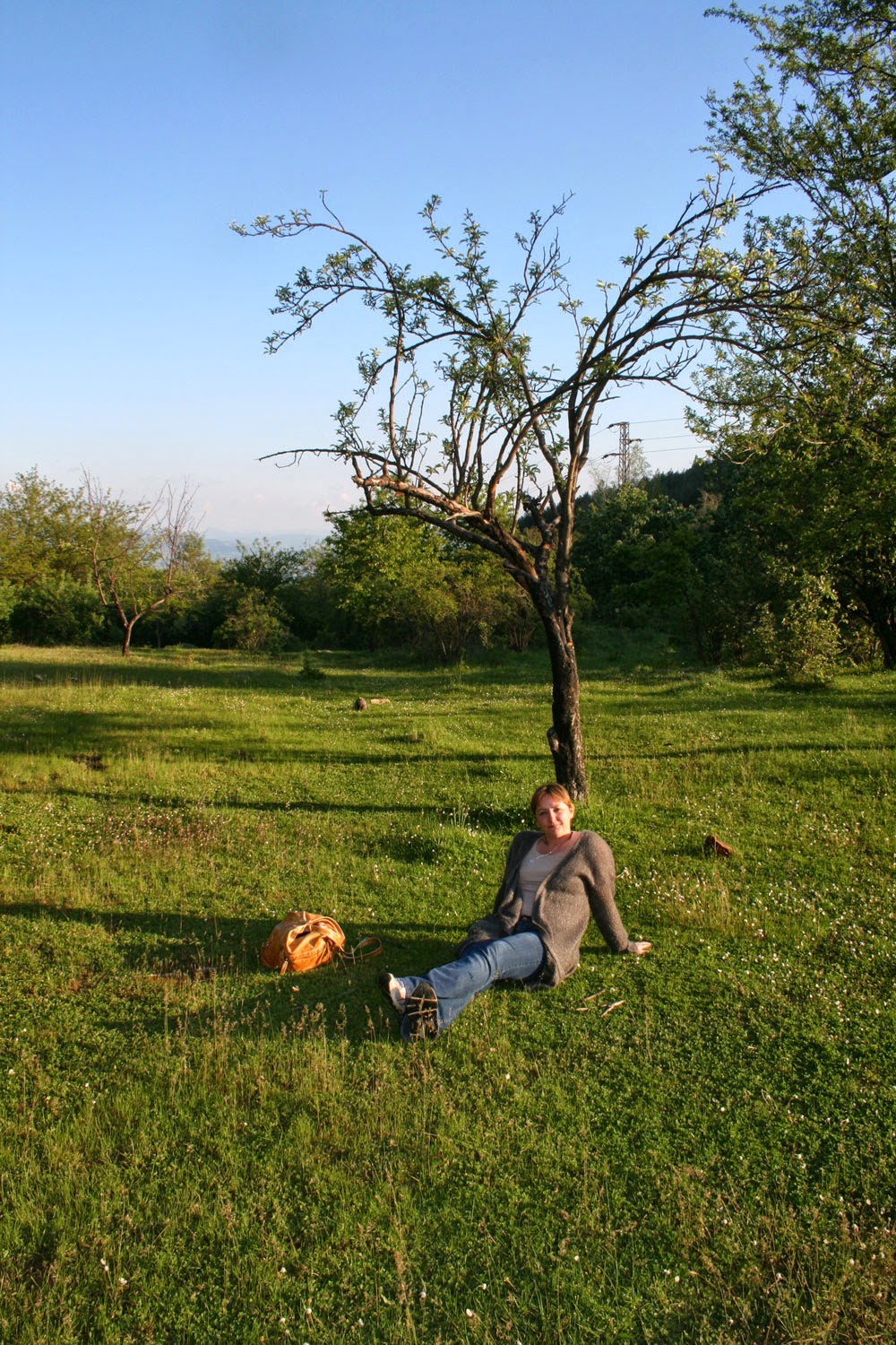 Sat in the sun Sat in the sun