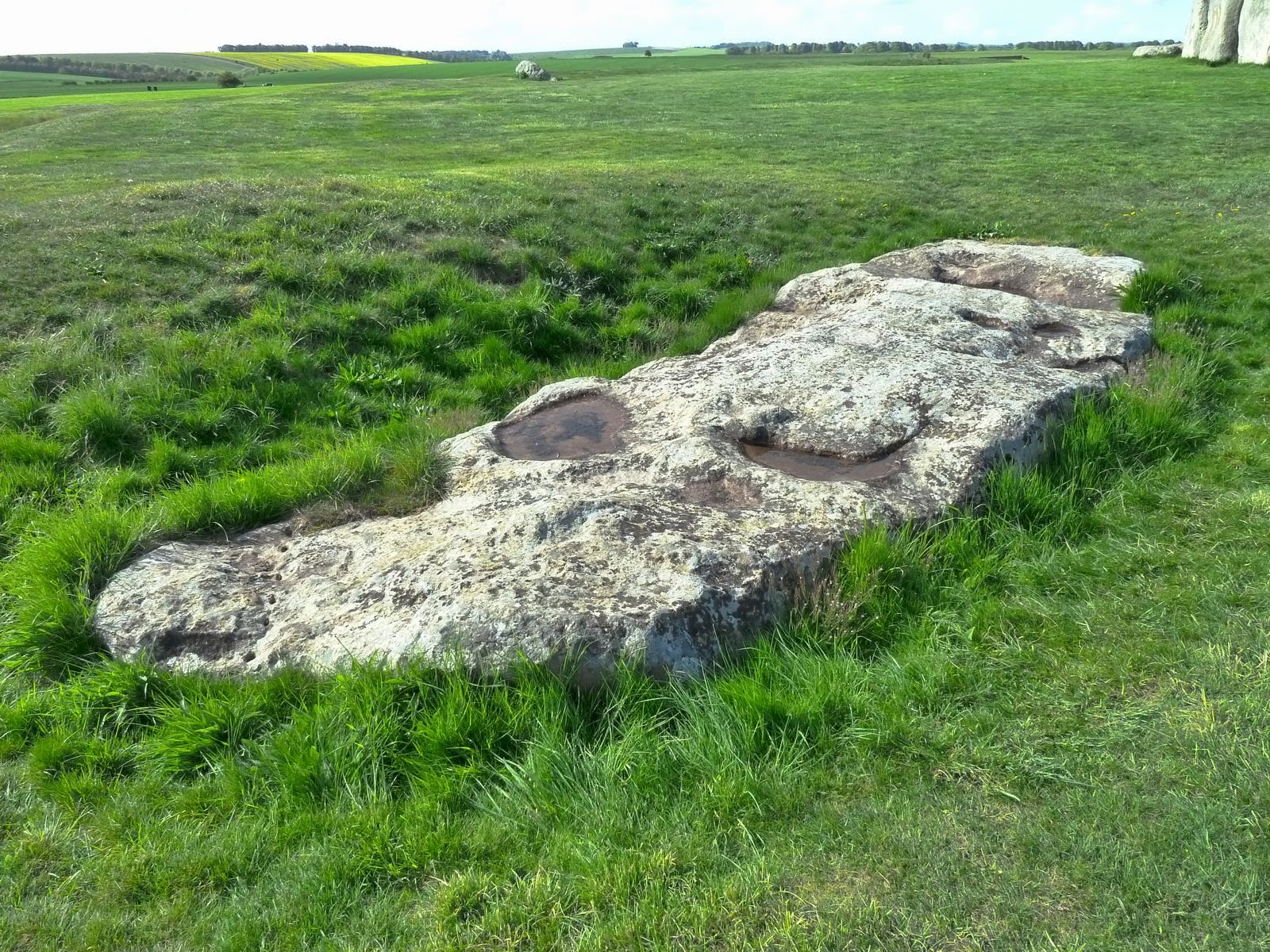 The Stones of Stonehenge Slaughter Stone (Stone 95)