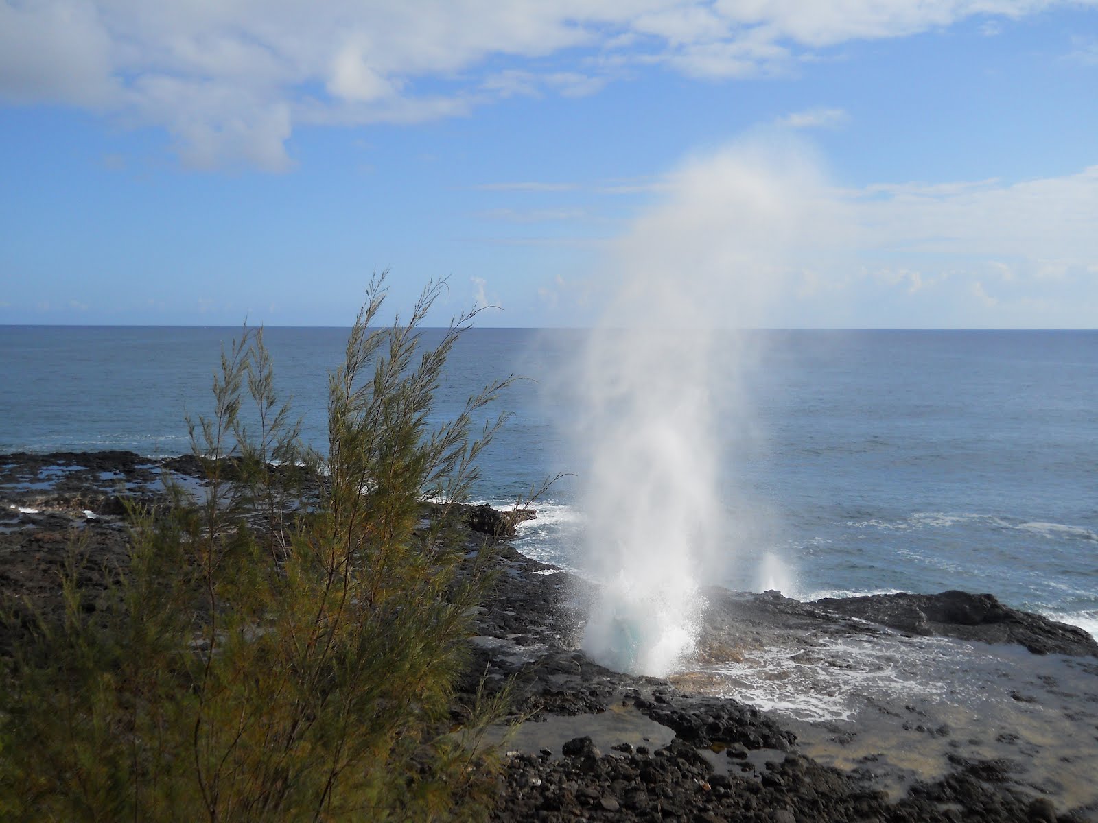 Maui Blow Holes