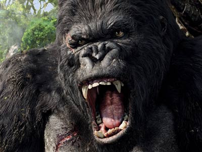 The Many Faces of King Kong