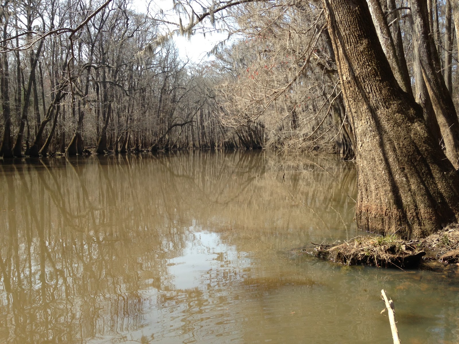NC BACKCOUNTRY CONGAREE NATIONAL PARK, SC