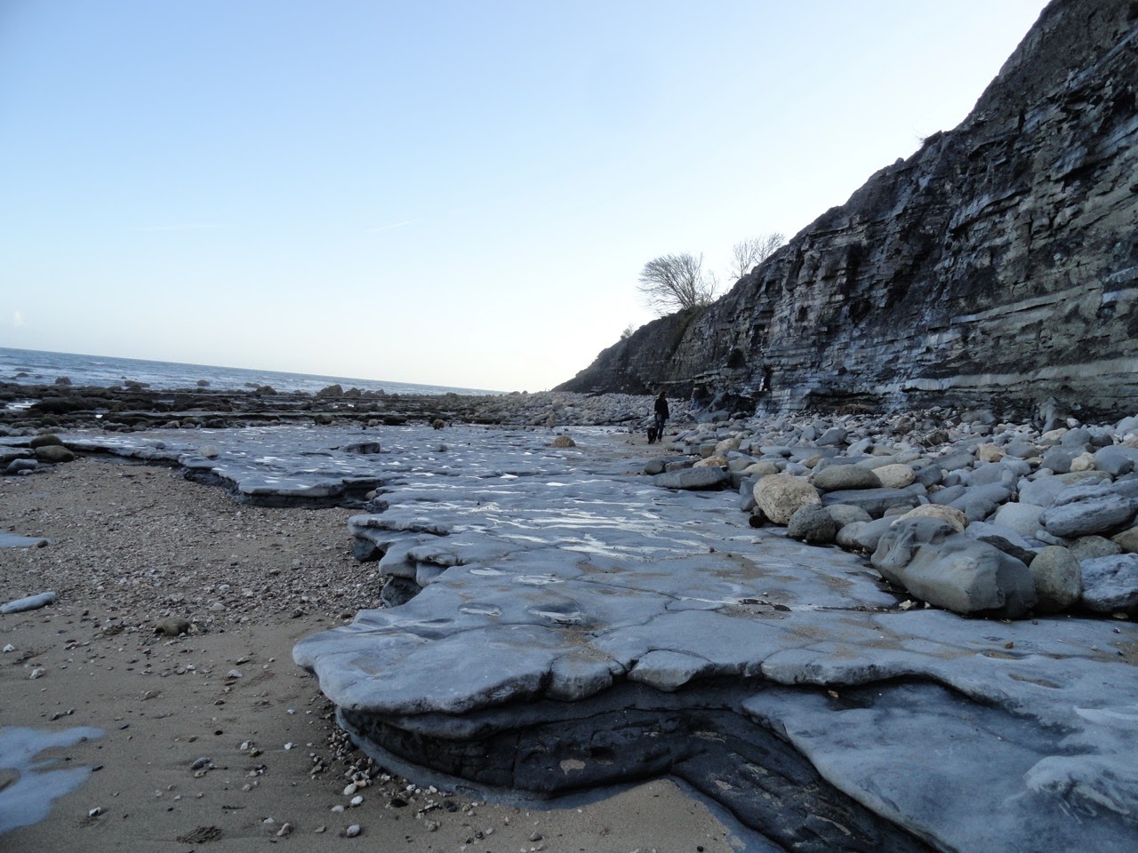 WIPS Trips Fossil Hunting in England's Jurassic Ammonite Graveyard