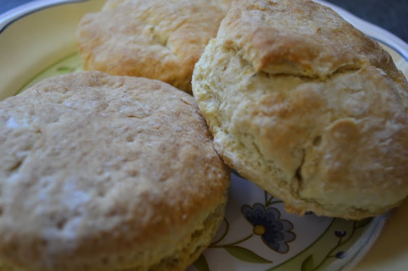 Pioneer Woman's Buttermilk Biscuits!