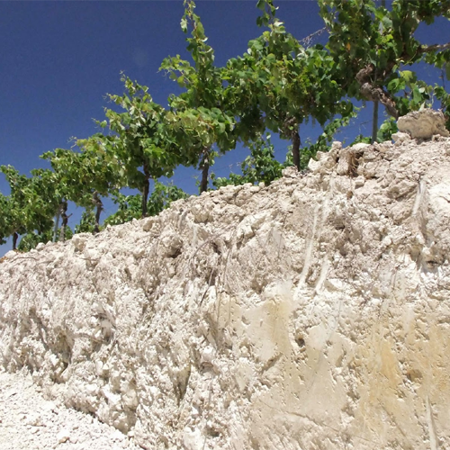 Soil and Wine Part 1 Starstuff and Seashells The Wine Stalker