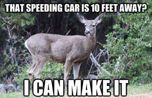 speeding+car.jpg