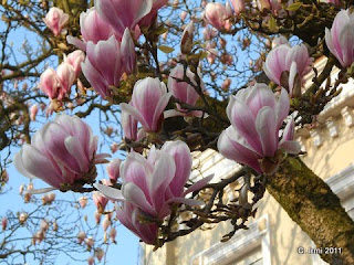 Fine Line Tattoo Piercing Burgenackerstr 18 Tel 07260 1434