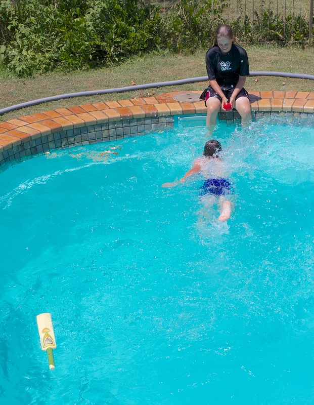 Pieces of Contentment Pool Cricket