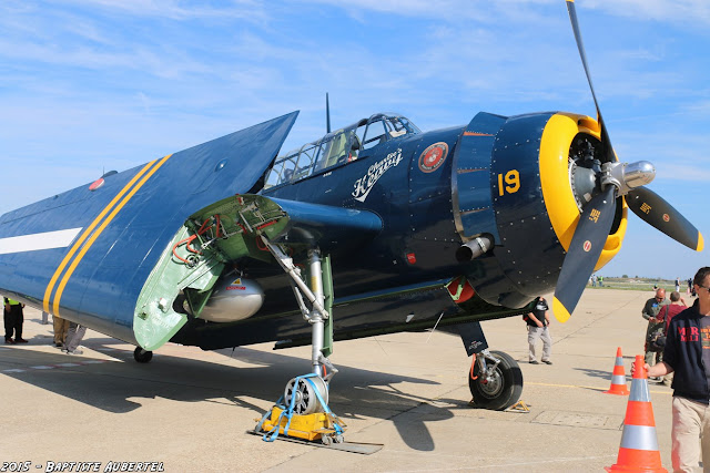 Feria de l'air 2015 Nîmes Garons 