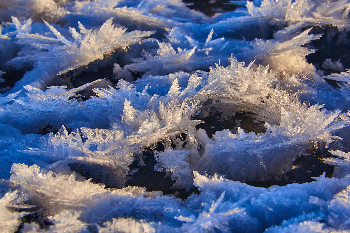 Немного фоточек с прошедших выходных