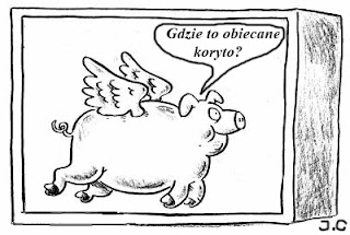 Joe Chal: - Nowoczesna pl czy ugrupowanie Kukiza?