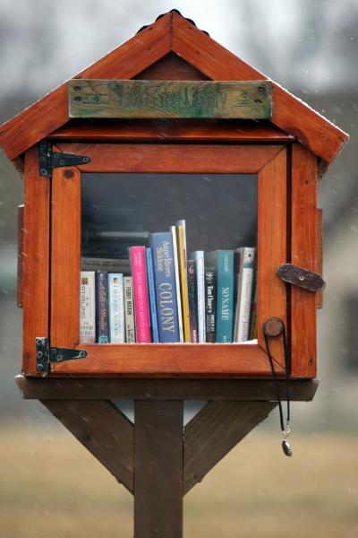 Tiny Library | dante s wardrobe build your own little tiny library Tiny Library | dante s wardrobe build your own little tiny library