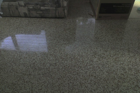 terrazzo floor cleaning tips disorganized