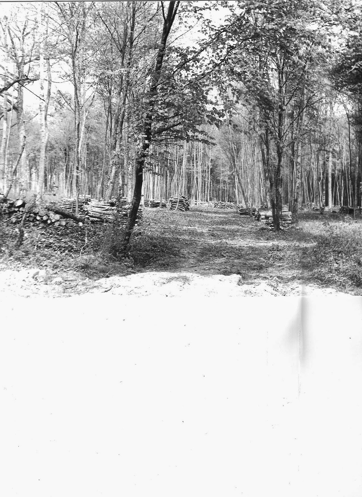 rencontre patrimoine