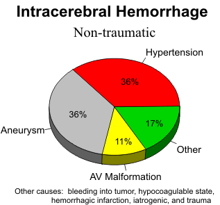 Chronic Intracranial Hemorrhage And Intraventricular Hemorrhage